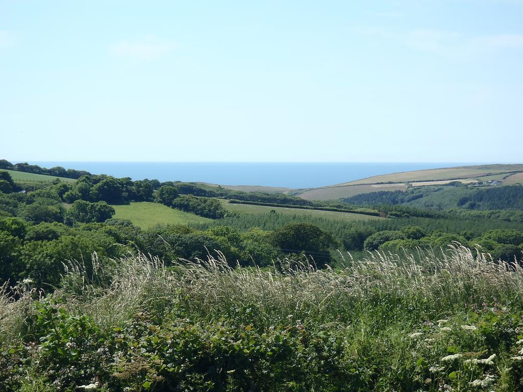 ביוד Pentire Coastal Holiday Park מראה חיצוני תמונה